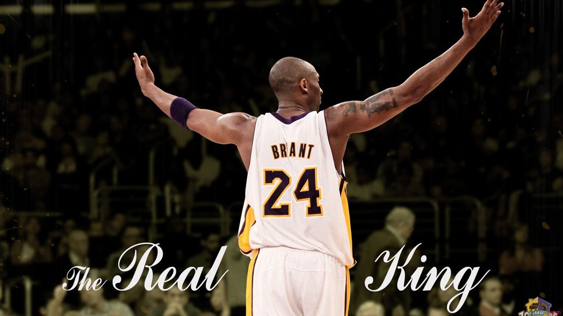 下载乐鱼体育APP-CBA球迷的热情点亮整个赛季，cba球迷的热情点亮整个赛季了吗