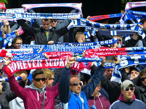 乐鱼（中国）体育官方网站-国足球迷助威活动现场火爆，足球球迷助威